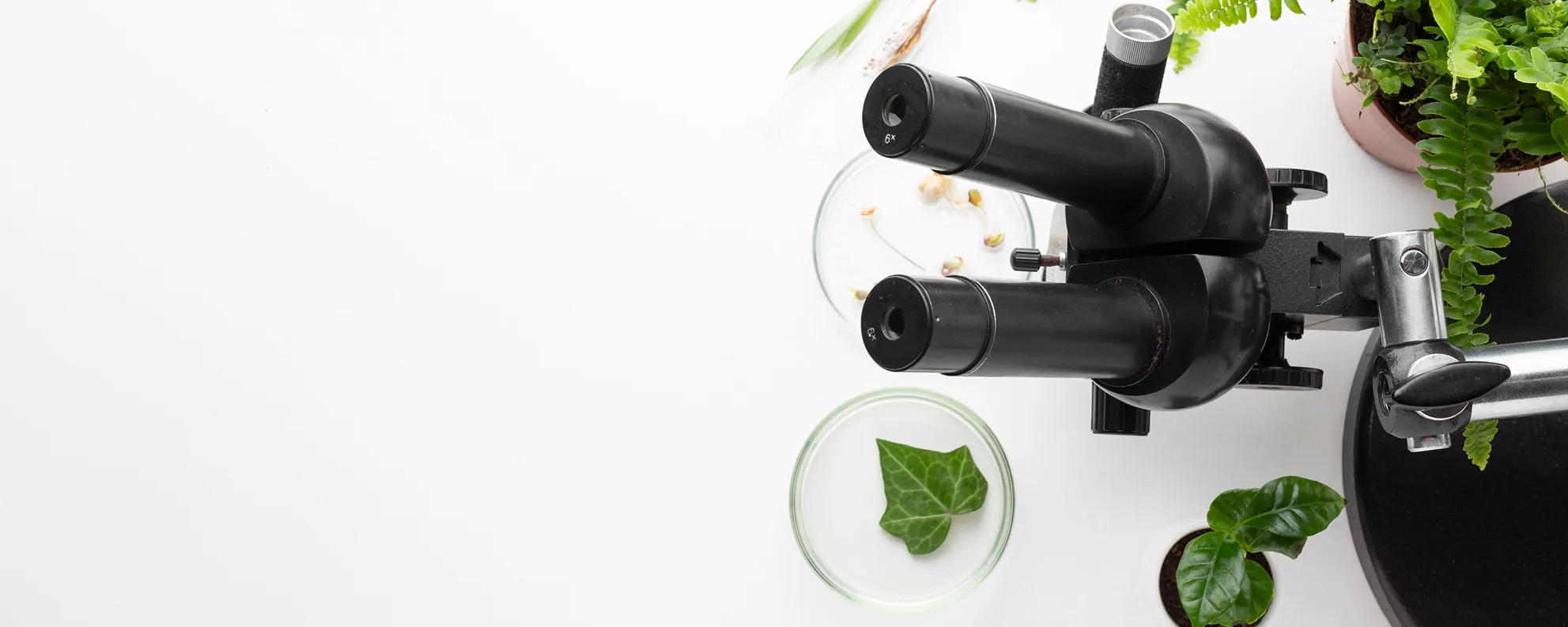 Biosolutions Website